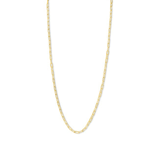 Gold Fine Link Chain Necklace