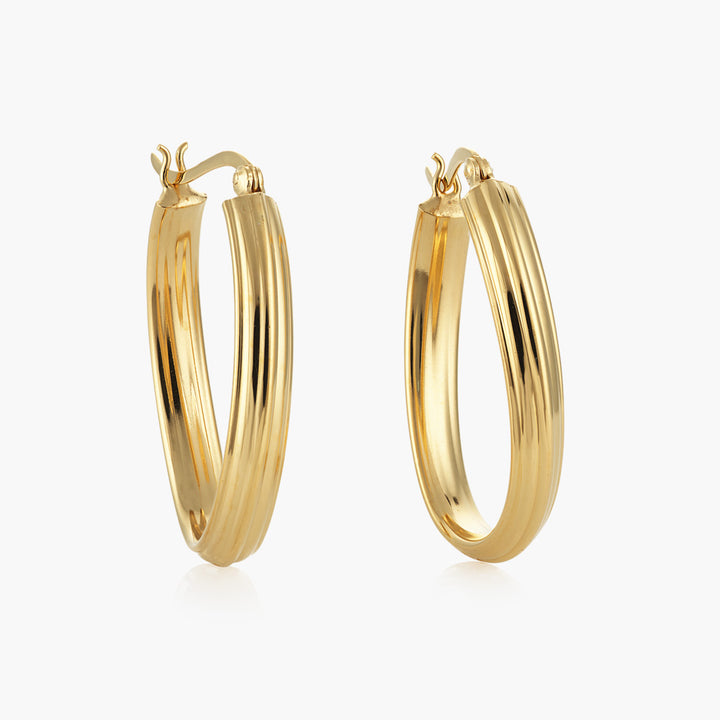 Large Gold Hoop Earrings