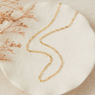 Gold Link Necklace